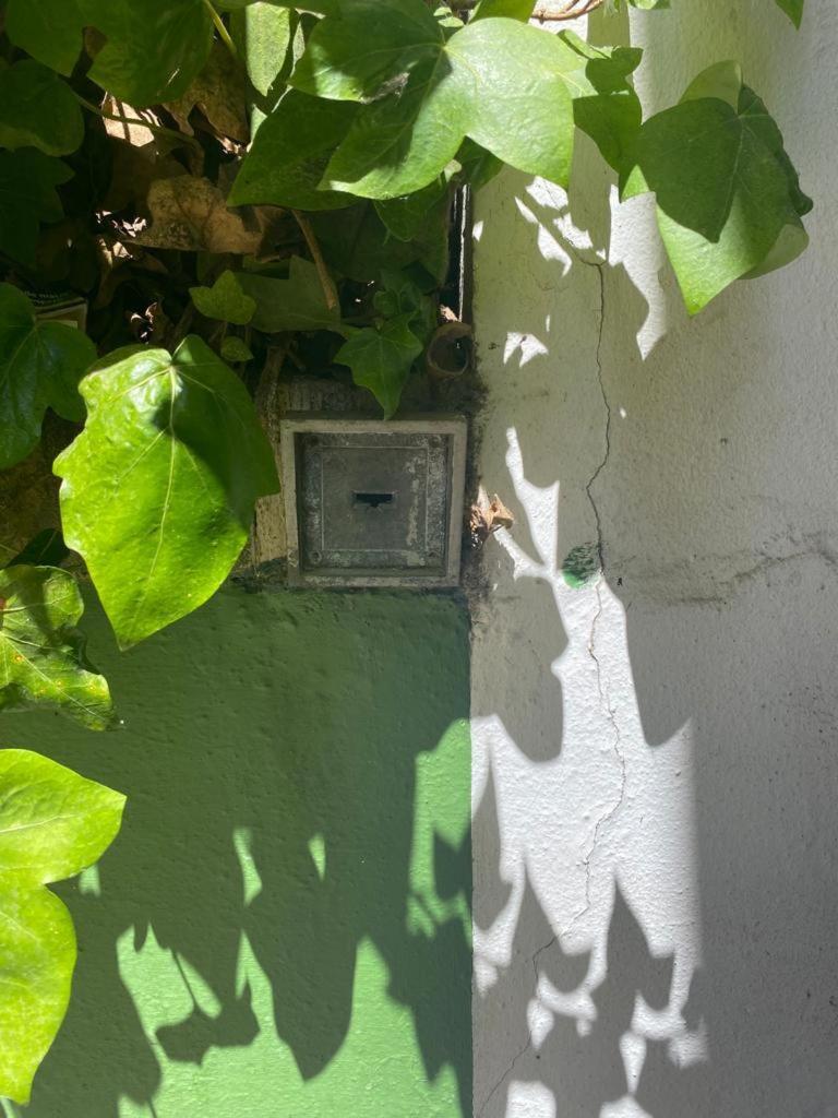 Rentalsevilla San Clemente Dış mekan fotoğraf