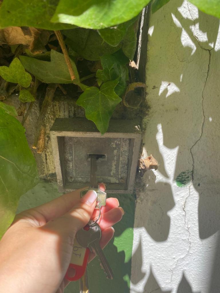 Rentalsevilla San Clemente Dış mekan fotoğraf