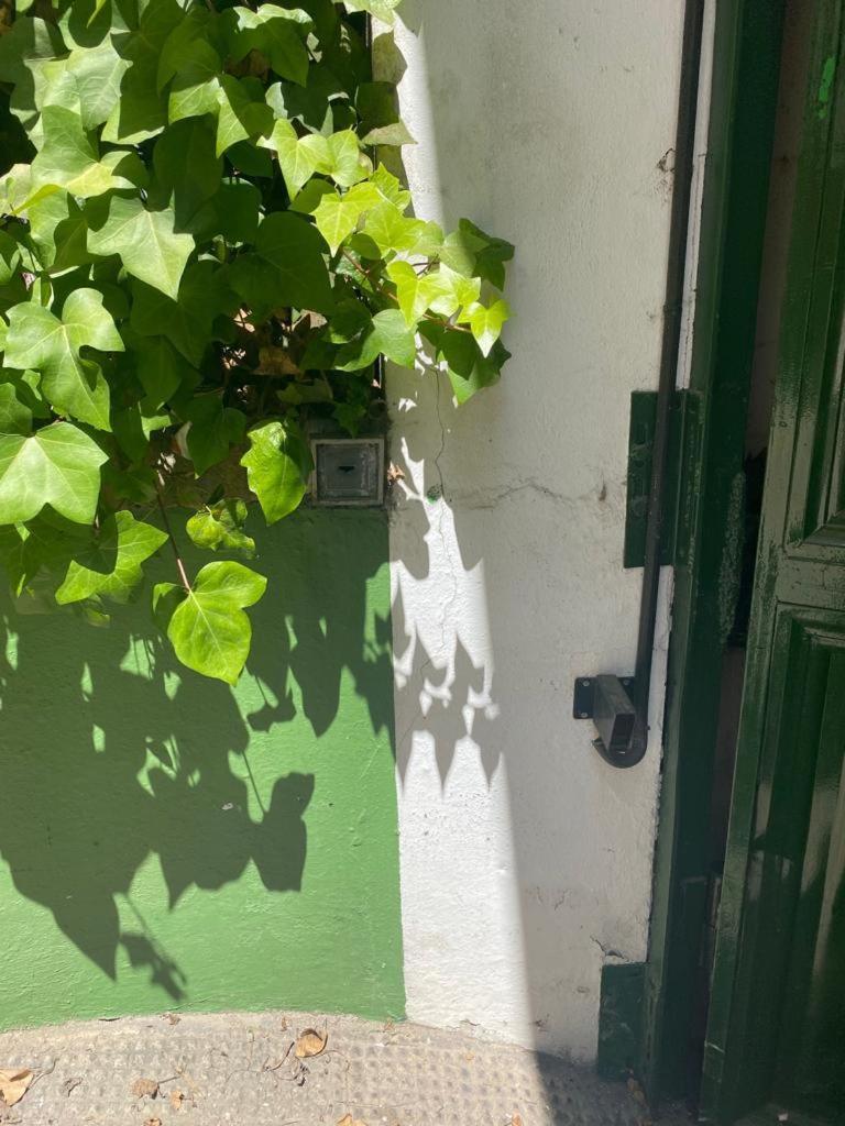 Rentalsevilla San Clemente Dış mekan fotoğraf