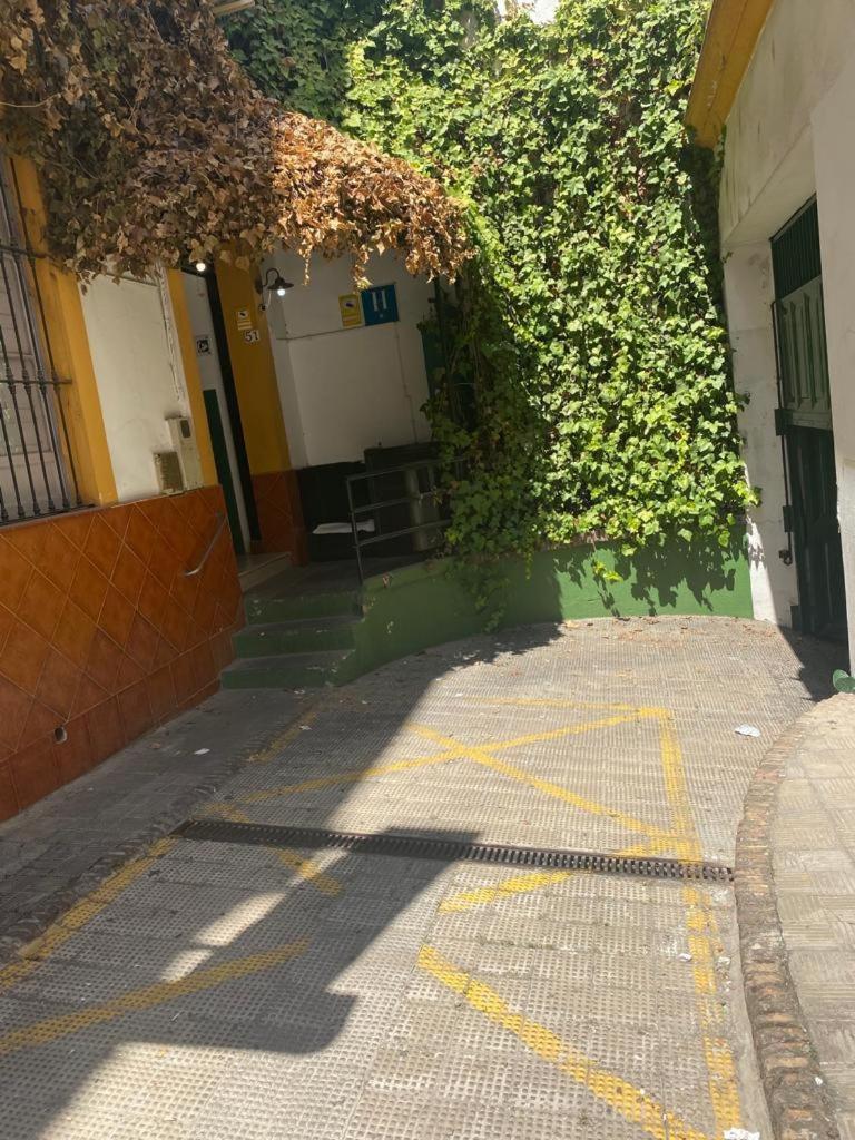 Rentalsevilla San Clemente Dış mekan fotoğraf