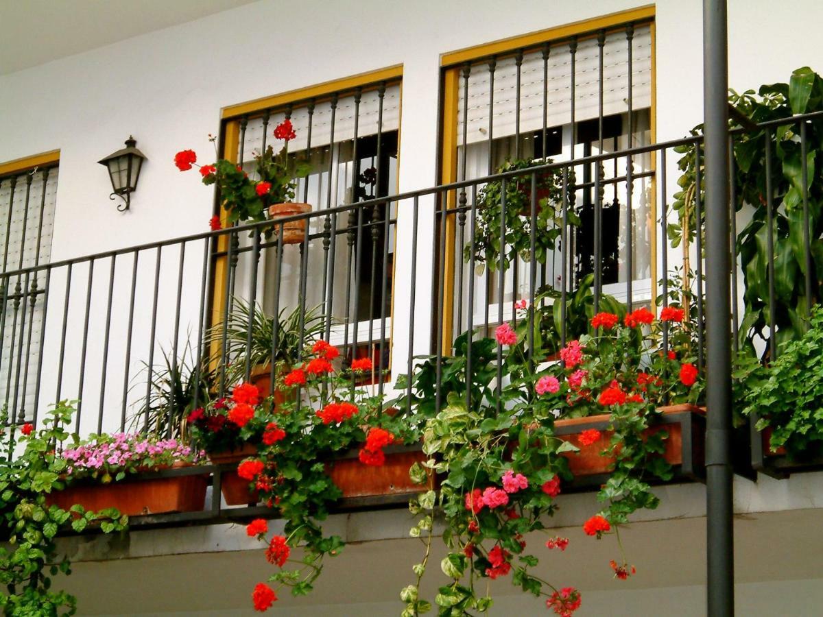 Rentalsevilla San Clemente Dış mekan fotoğraf